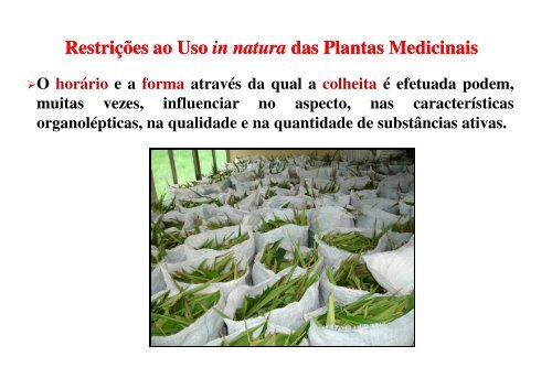 Odorico Moraes - IPD-Farma