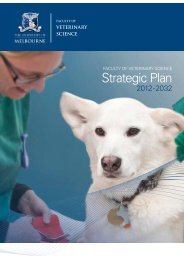 Strategic Plan 2012-2032 - Faculty of Veterinary Science - University ...