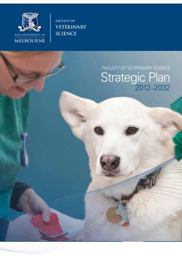 Strategic Plan 2012-2032 - Faculty of Veterinary Science - University ...