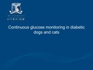Continuous glucose monitoring in diabetic dogs and cats