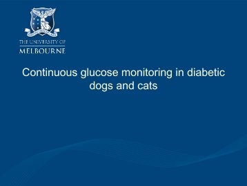 Continuous glucose monitoring in diabetic dogs and cats