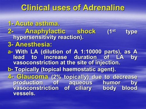 Autonomic Nervous System &#40;ANS&#41;