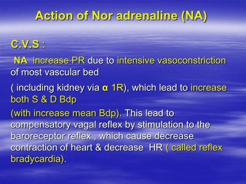 Autonomic Nervous System &#40;ANS&#41;