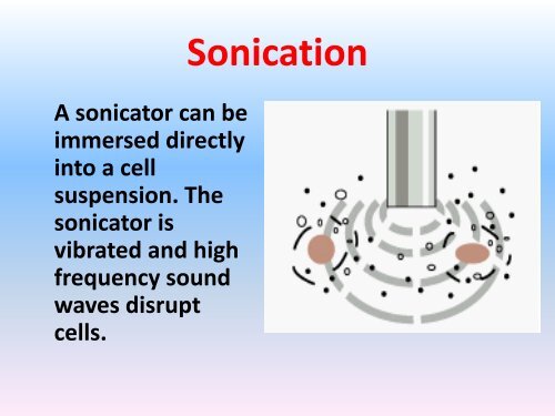 What is cell fractionation