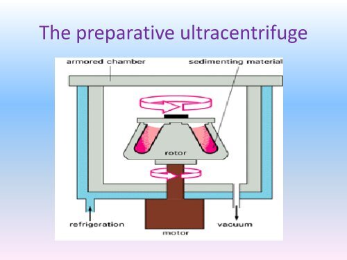 What is cell fractionation