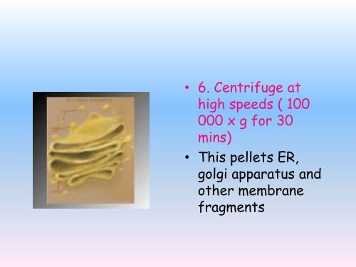 What is cell fractionation