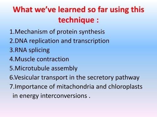 What is cell fractionation