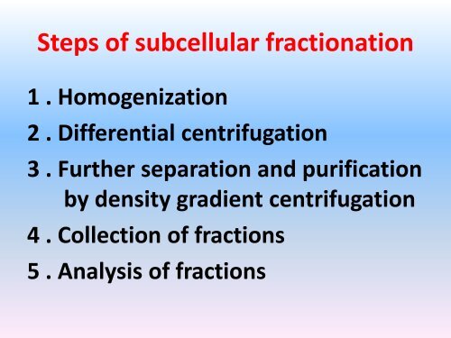 What is cell fractionation