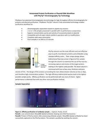 Automated Protein Purification or Plasmid DNA Workflow with ...