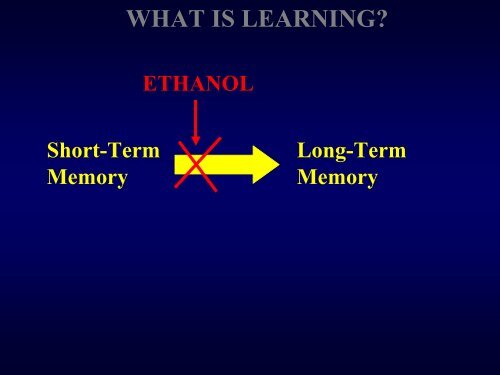 Physiology of the World's Second-Most Popular Drug