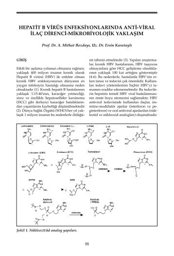 Hepatit B VirÃ¼s EnfeksiyonlarÄ±nda Antiviral Ä°laÃ§ Direnci ... - VHSD