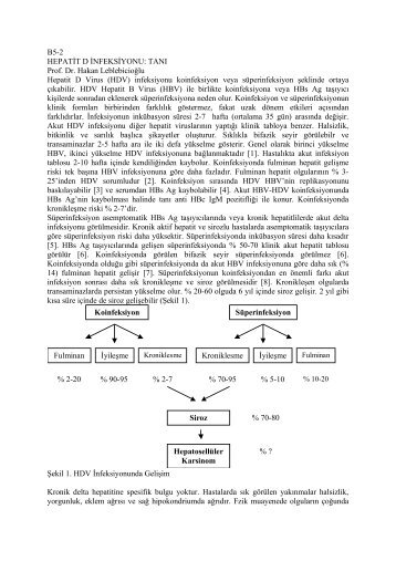 Viral Hepatit 2002 KitabÄ±-2 - VHSD