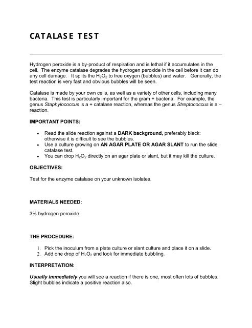 CATALASE TEST