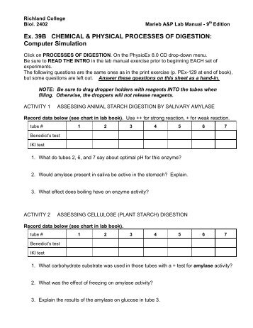 chemical and physical process of digestion review sheet chemical and physical process of digestion review sheet