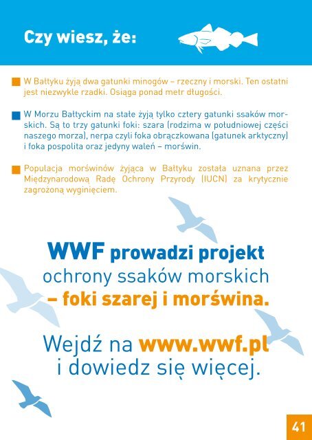 Wybrzeże klifowe - WWF