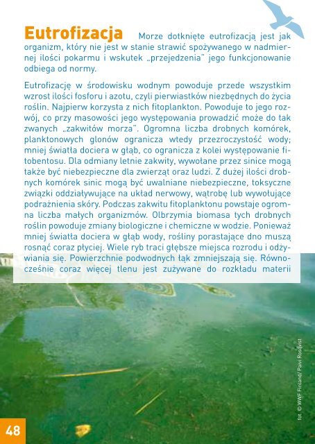 Wybrzeże klifowe - WWF