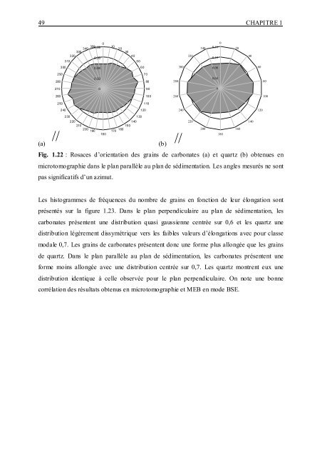 Minéralogie, porosité et diffusion des solutés dans l'argilite du ...