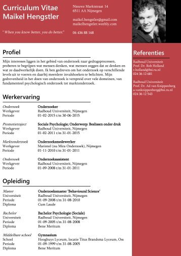 Curriculum Vitae Maikel Hengstler