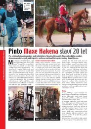 Pinto Maxe Hakena slavÃ­ 20 let - NakladatelstvÃ­ MINERVA CZ