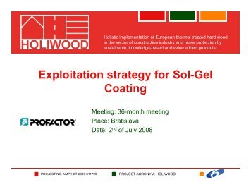 SWOT Analysis (general) y (g ) - Holiwood.org