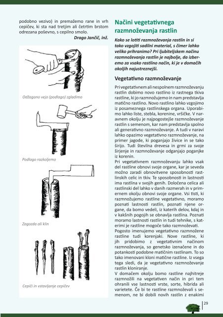 Zvedel sem nekaj novega - KotliÄek informacij - Las od Pohorja do ...