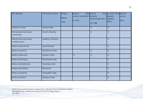 Wetland & Fish Ecology - Enviro Dynamics Namibia