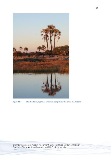 Wetland & Fish Ecology - Enviro Dynamics Namibia