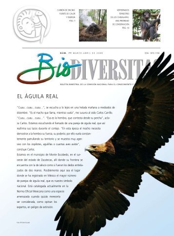 Descargar .pdf - Ã¡guila real mÃ©xico