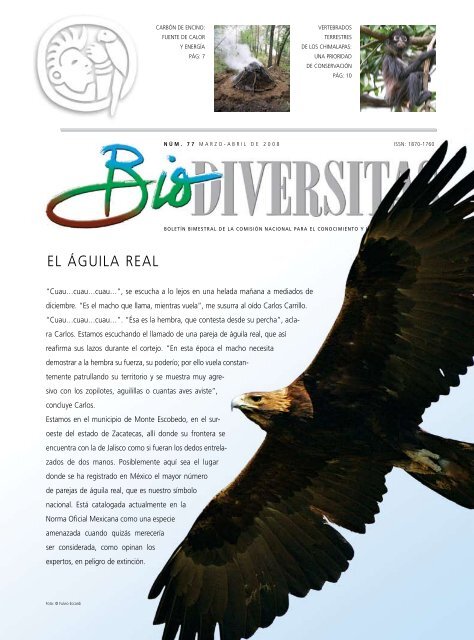 Descargar .pdf - águila real méxico Descargar .pdf - águila real méxico