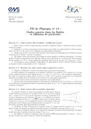 Ondes sonores dans les fluides et diffusion de particules