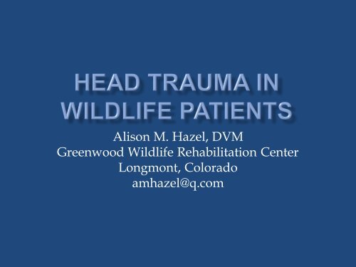 1. Head Trauma in Wildlife Patients