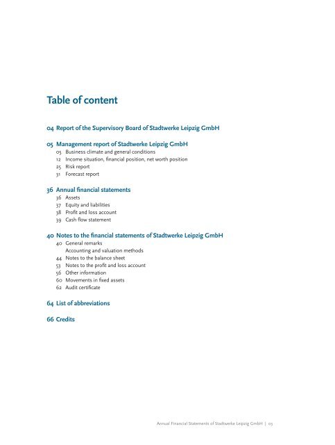 Consolidated Financial Statements of the Stadtwerke Leipzig Group ...