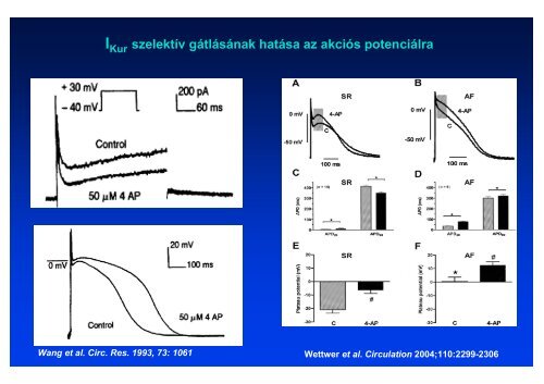 The action potential and the underlying ionic currents