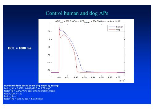 The action potential and the underlying ionic currents