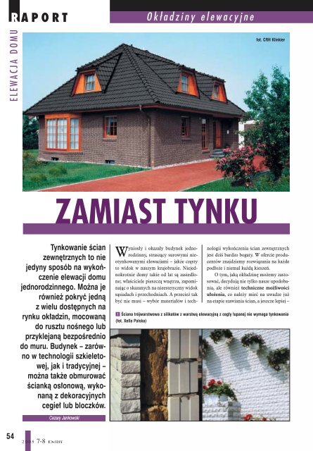 ZAMIAST TYNKU - Budujemy Dom