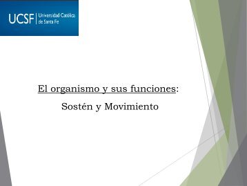 El organismo y sus funciones: Sostén y Movimiento