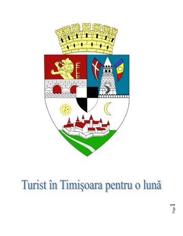 Turist in Timisoara pentru o luna