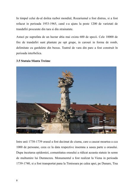 TURIST PENTRU O ZI IN TIMISOARA
