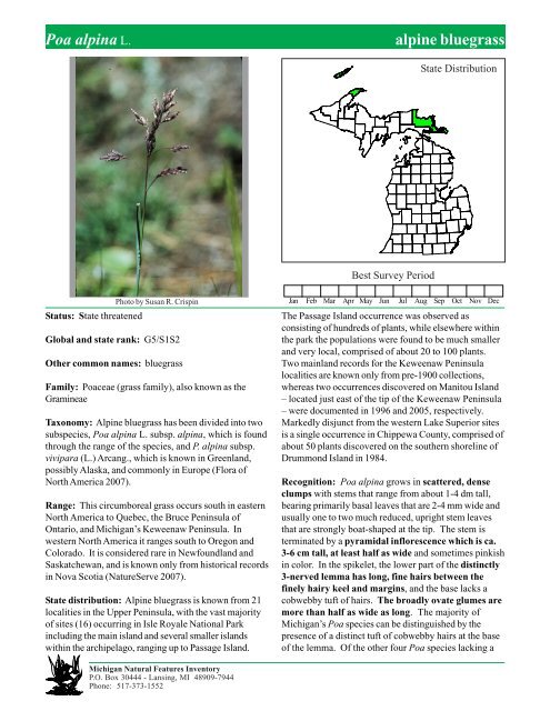 Poa alpina - Michigan Natural Features Inventory - Michigan State ...