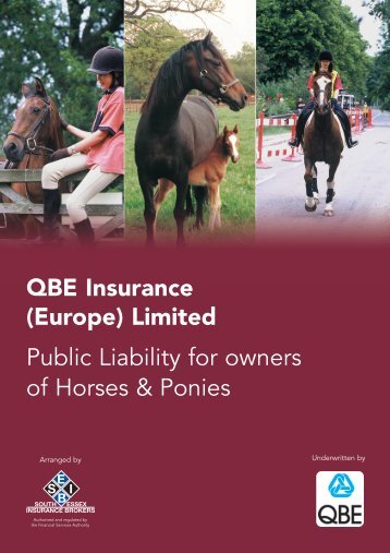 001130 QBE Public Liability 09:001130 QBE Public Liability - SEIB