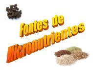 Fontes de Micronutrientes - Adubos e AdubaÃ§Ãµes