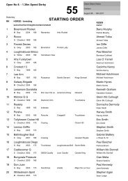 Event 55 - Open No. 8 - 1.30m Speed Derby - Millstreet Horse Show