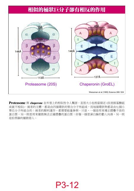 Protein(3) 2007B.pdf