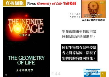 C44 Geometry of Life.pdf