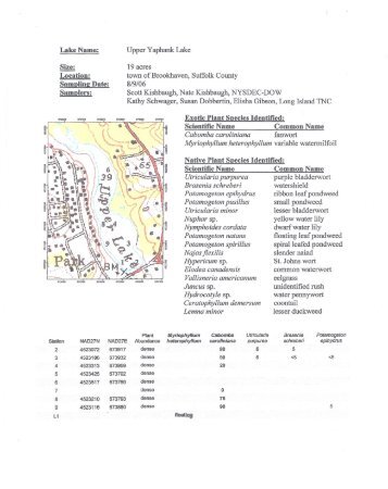 Upper Lake Sample, 2006 - Save The Yaphank Lakes