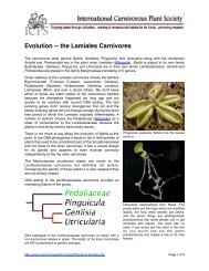 the Lamiales Carnivores - International Carnivorous Plant Society