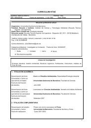 DOCUMENTO NÂº 1 - ICTA - Universitat AutÃ²noma de Barcelona