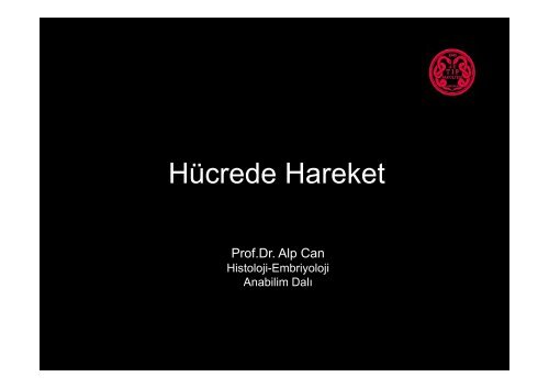 HÃ¼crede Hareket