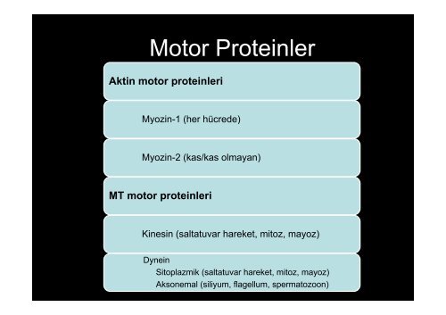 HÃ¼crede Hareket