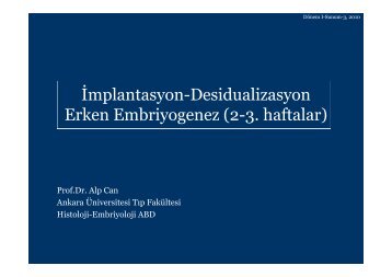 Ä°mplantasyon-Desidualizasyon Erken Embriyogenez (2-3. haftalar)